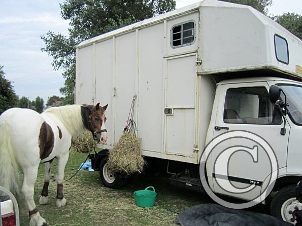 Lance posing on the box (3)