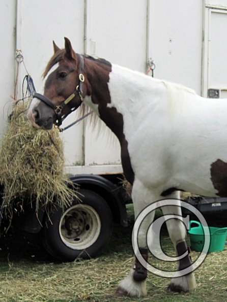 Lance posing on the box (4)