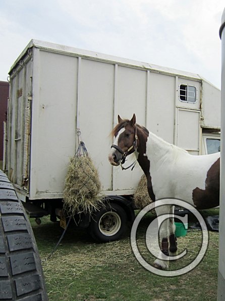 Lance posing on the box
