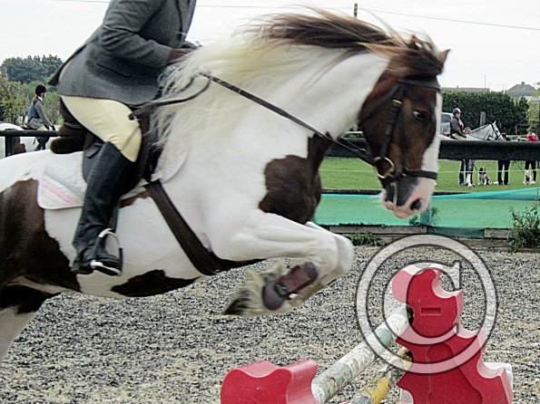 Lance warming up (3)