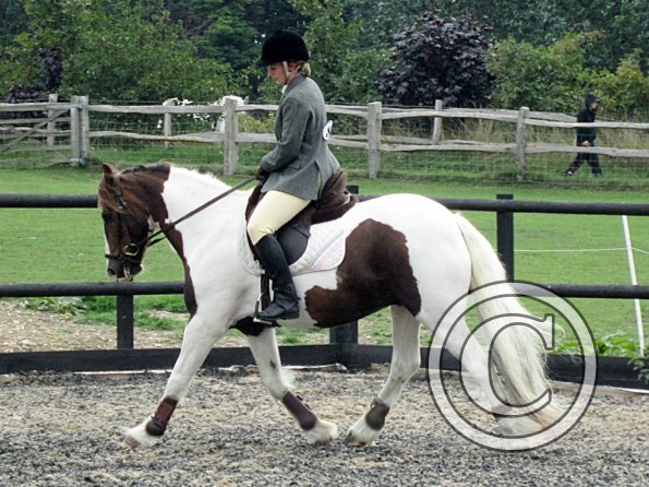 Lance warming up (5)