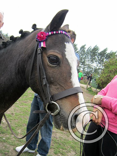 Monty and Crystal (2)