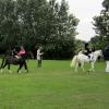 Monty lead rein (3)