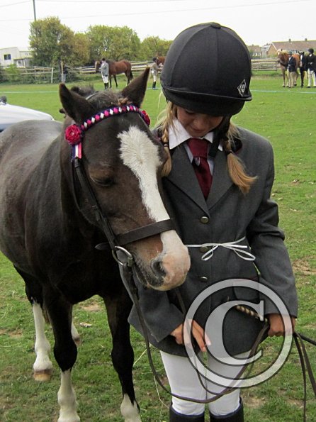 Monty veteran in hand (2)