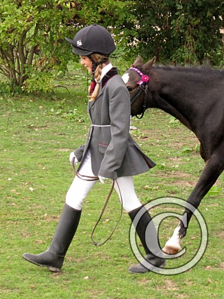 Monty veteran in hand (4)