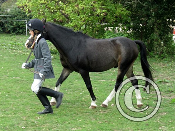 Monty veteran in hand (5)