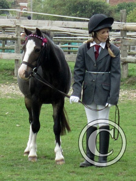 Monty veteran in hand (7)