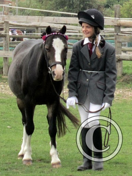 Monty veteran in hand (8)