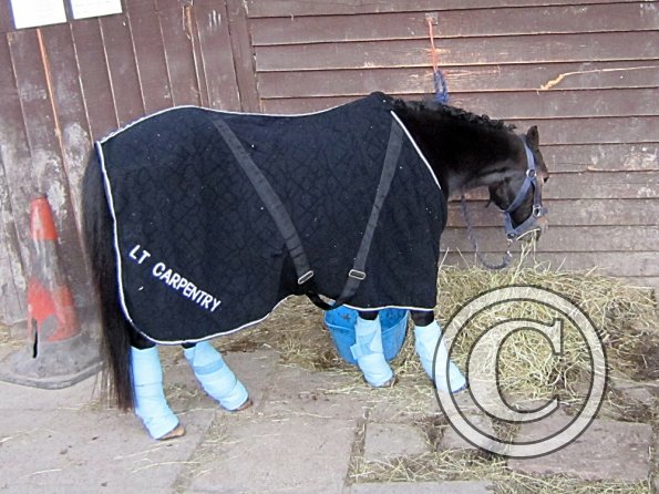 Preparations on the yard (2)