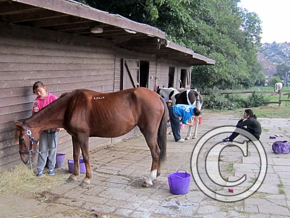 Preparations on the yard (3)