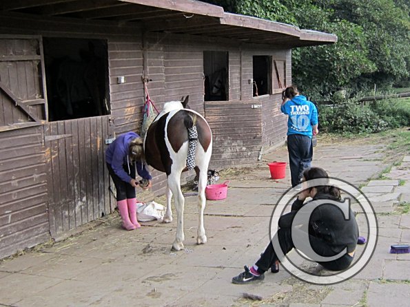 Preparations on the yard (4)