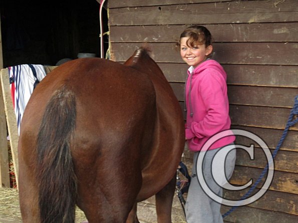 Preparations on the yard (7)