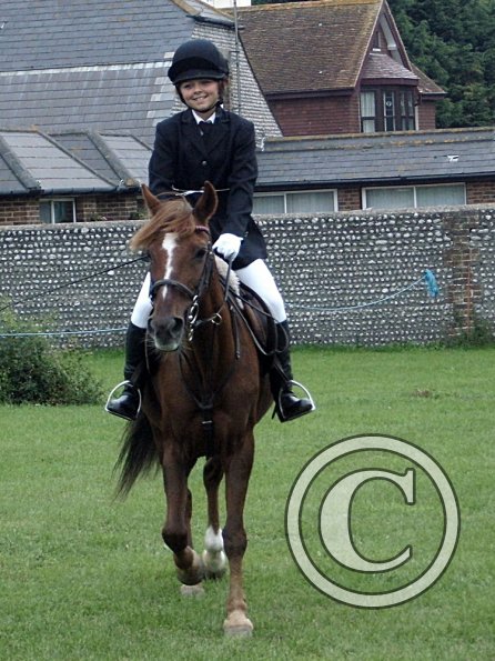 Quiz ridden veteran (10)