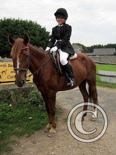 Quiz ridden veteran (2)