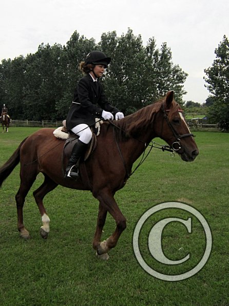 Quiz ridden veteran (3)