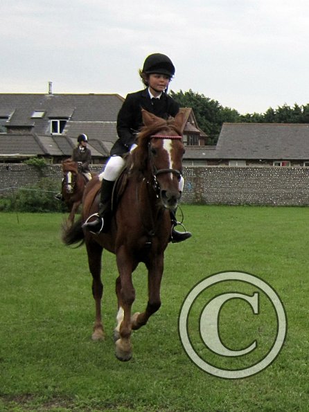 Quiz ridden veteran (4)