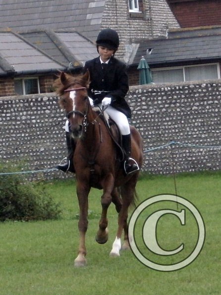 Quiz ridden veteran (5)