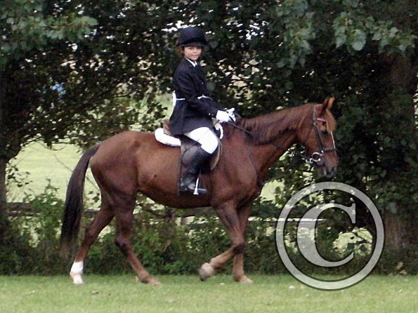 Quiz ridden veteran (7)