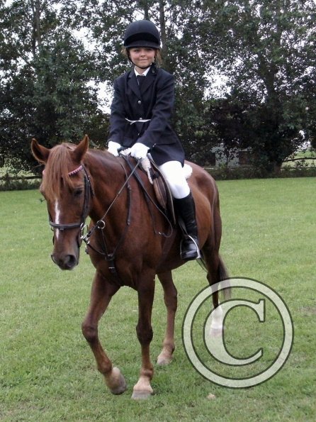 Quiz ridden veteran (8)