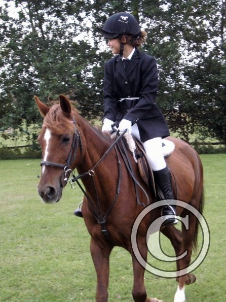 Quiz ridden veteran (9)