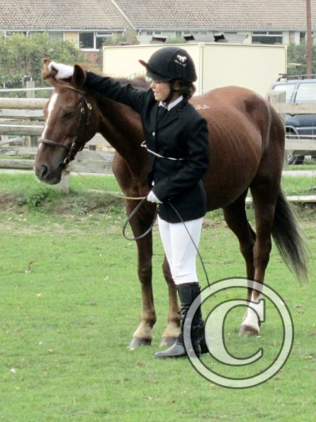 Quiz veteran in hand (5)