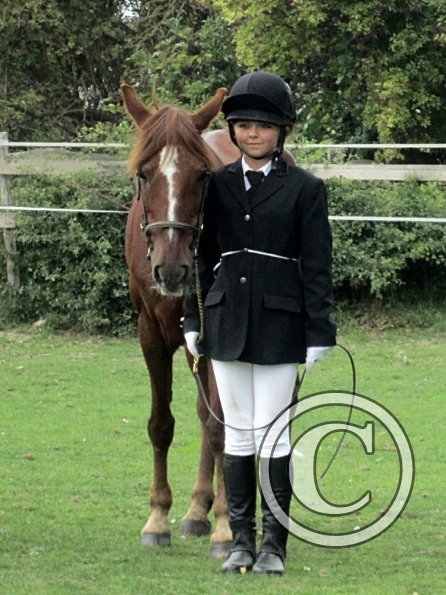 Quiz veteran in hand