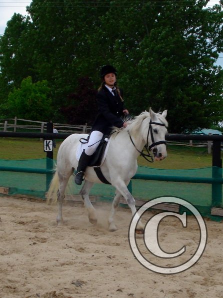 Angel warming up (2)