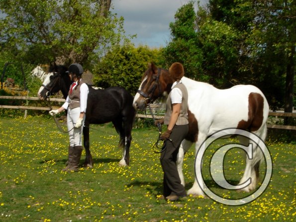 Jessie and Lance (4)