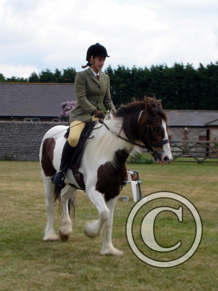 Lance ridden coloureds (10)