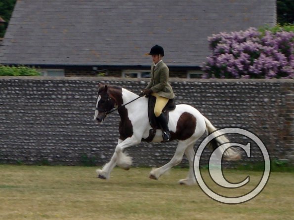 Lance ridden coloureds (11)