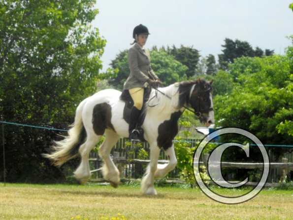 Lance ridden coloureds (2)