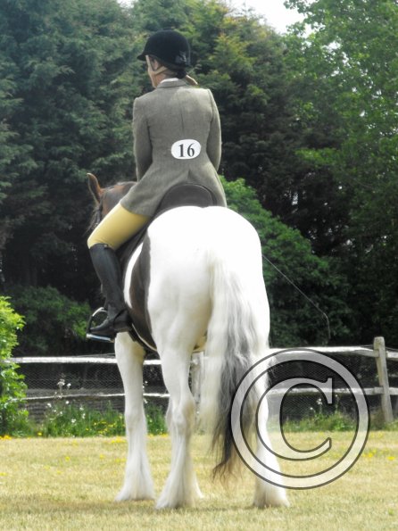 Lance ridden coloureds (3)