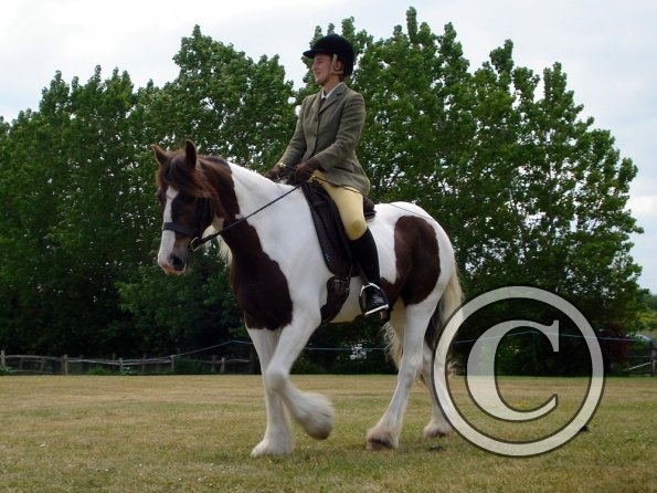 Lance ridden coloureds (5)