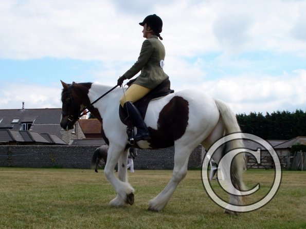 Lance ridden coloureds (6)