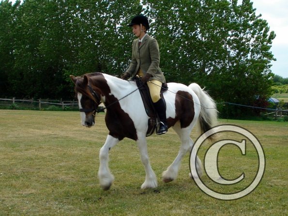 Lance ridden coloureds (8)