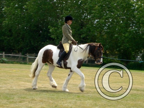 Lance ridden coloureds (9)