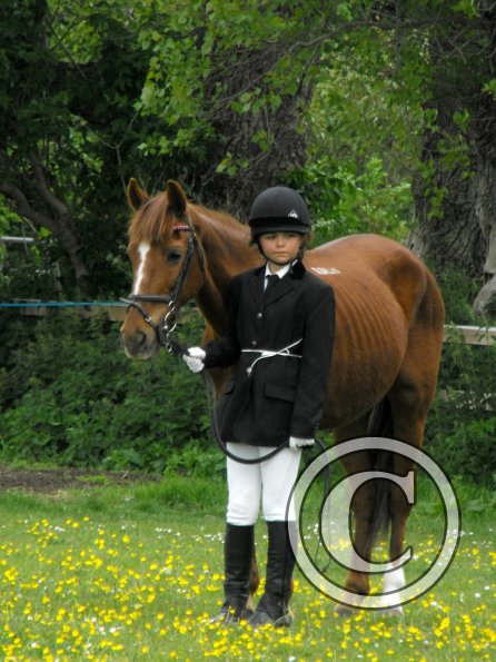 Quiz in hand veterans (2)