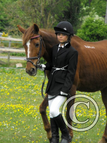 Quiz in hand veterans (3)