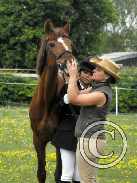 Quiz in hand veterans (4)