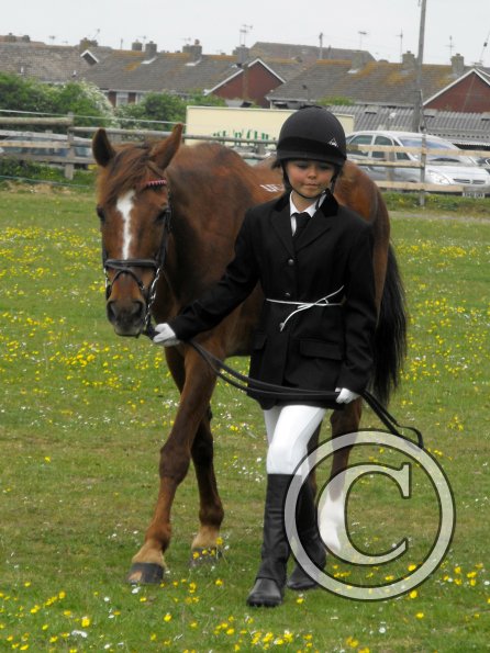 Quiz in hand veterans (5)