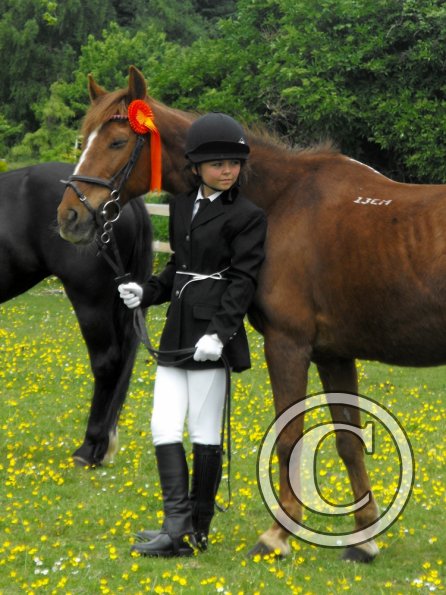 Quiz in hand veterans (8)