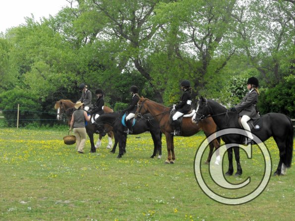 Quiz ridden veterans (11)