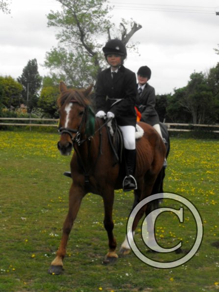 Quiz ridden veterans (12)