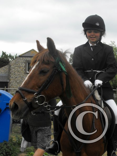 Quiz ridden veterans (13)