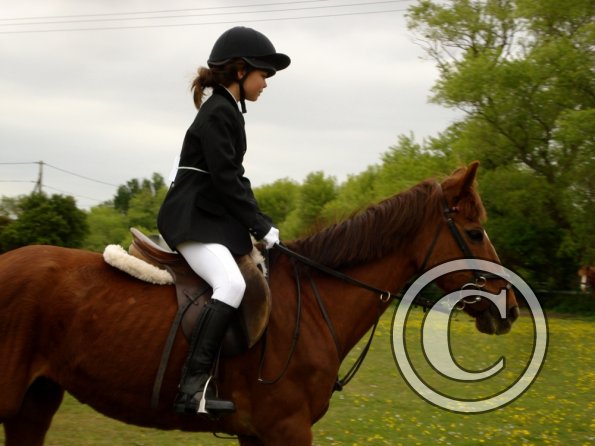 Quiz ridden veterans (3)