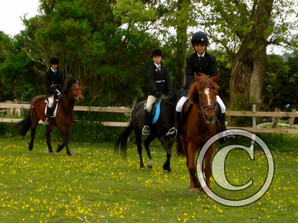 Quiz ridden veterans (6)