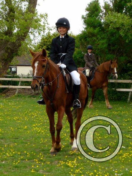 Quiz ridden veterans