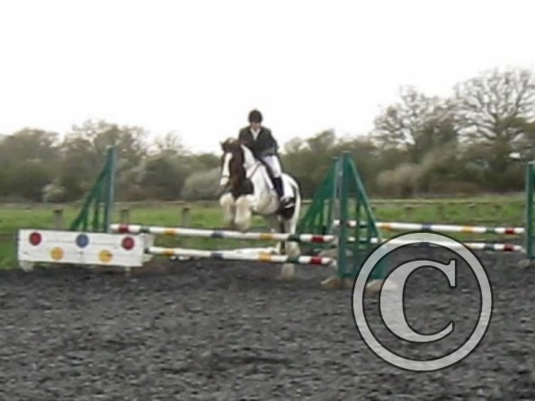 Lance coloured fences (3)