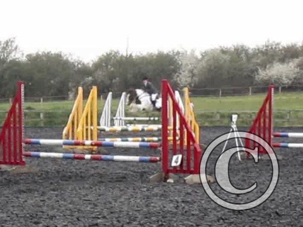 Lance coloured fences (4)