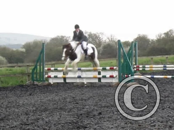 Lance coloured fences (5)